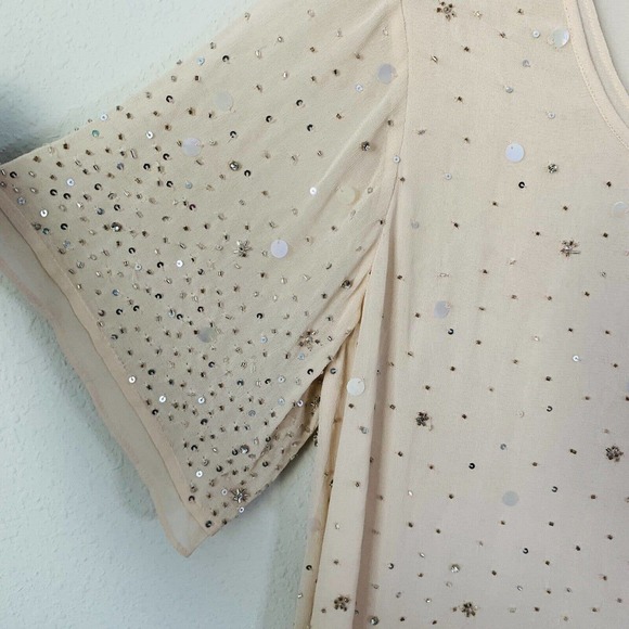 AS by DF Soft Pink Sequin Double Layer Sheer Blouse - Picture 3 of 5